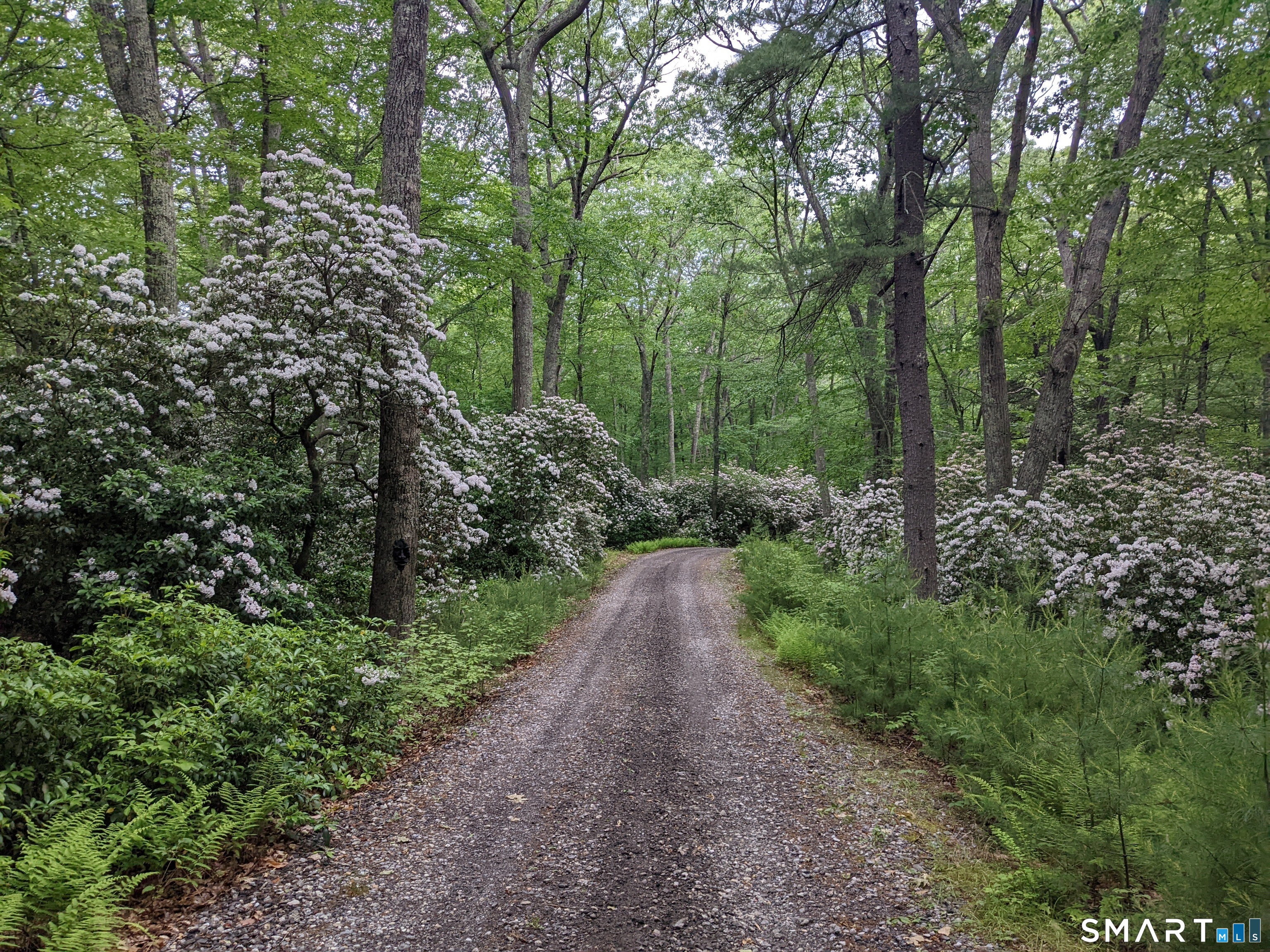 150-1 Mitchell Hill Road Lyme CT 79532