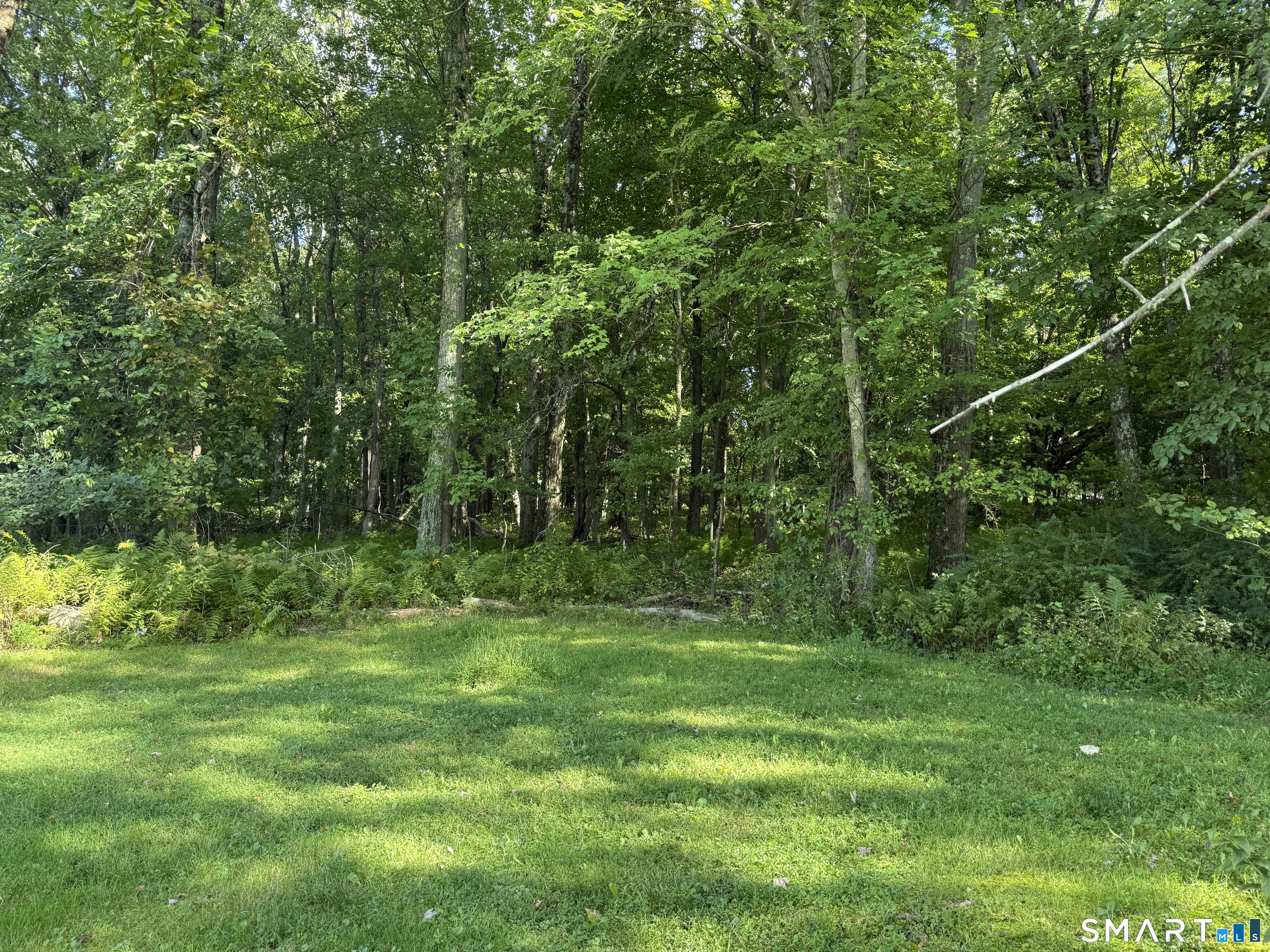 26 Birch Road Danbury CT 06811