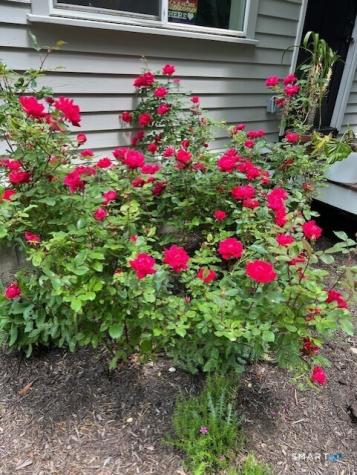 14 Meadow Crest Drive Woodbury CT 06798