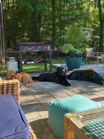 14 Meadow Crest Drive Woodbury CT 06798