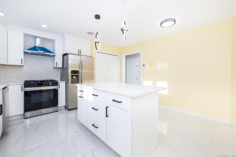 20 Nessa Way Rocky Hill CT 06067