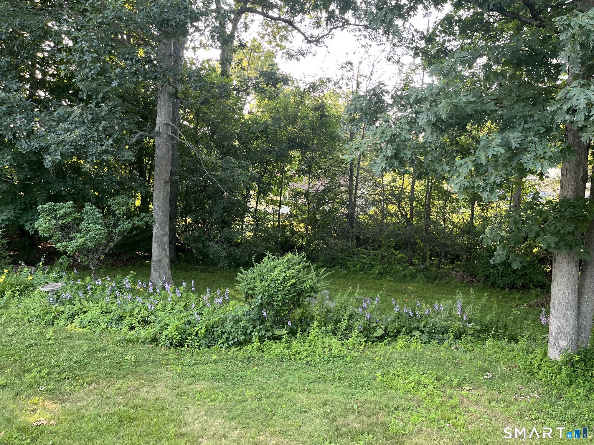 37 Fleetwood Drive Waterbury CT 06706