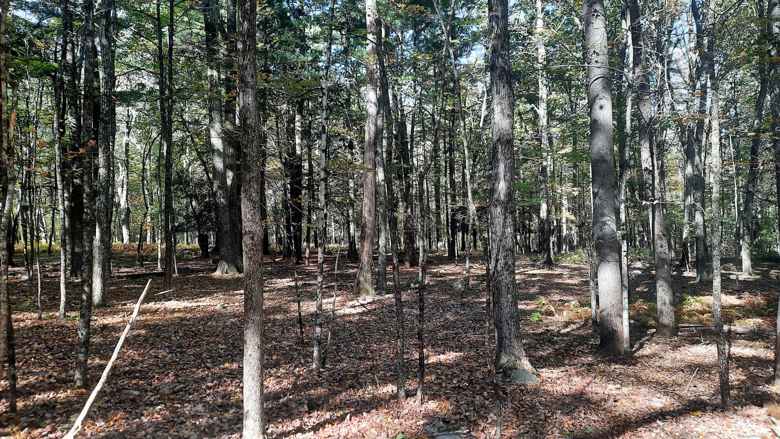 140 Ragged Hill Road Pomfret CT 06259