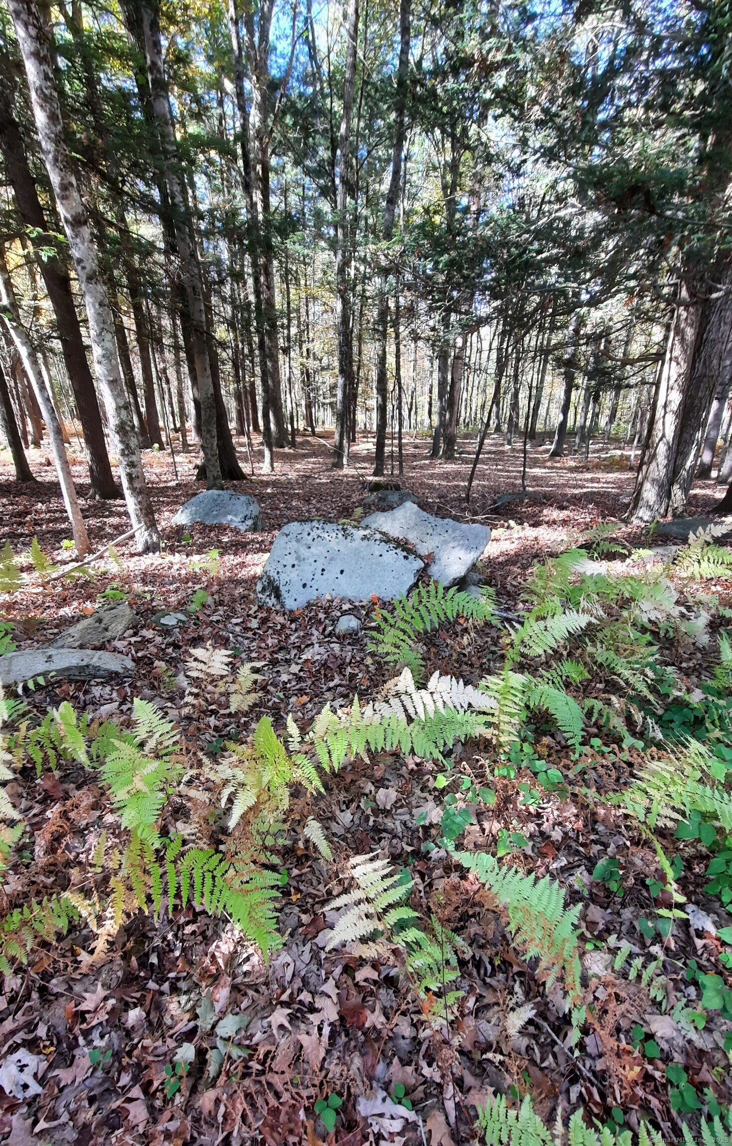 140 Ragged Hill Road Pomfret CT 06259