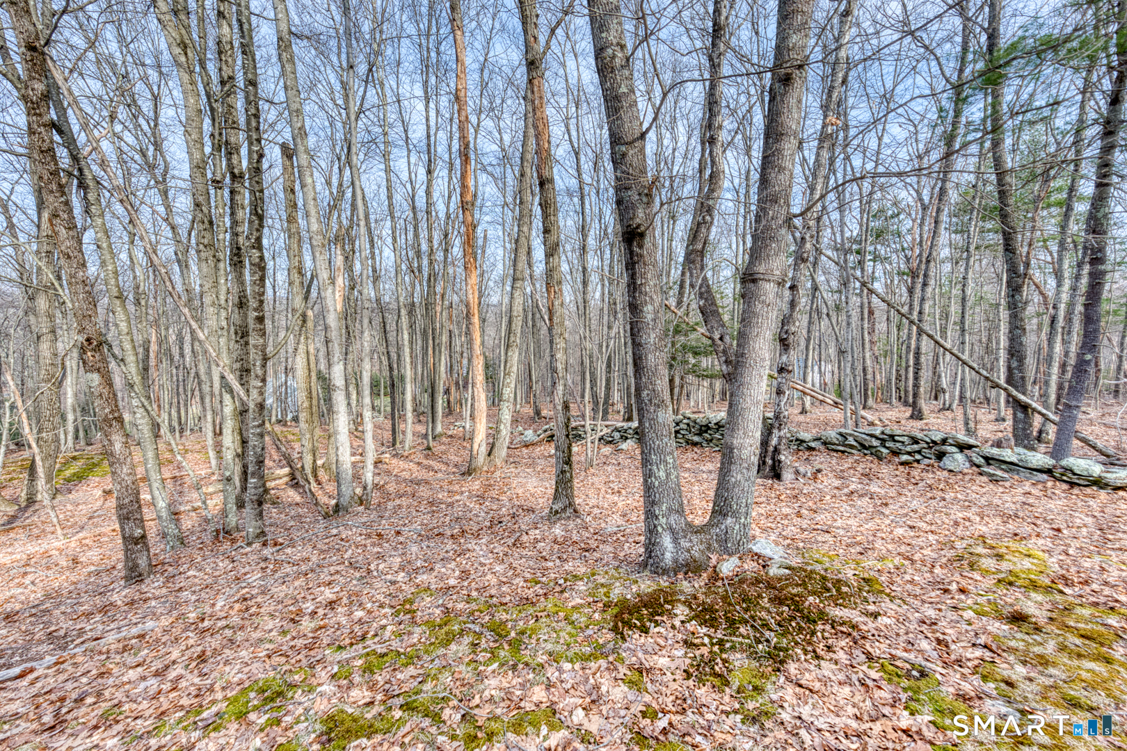 11 Mountain Laurel Lane Chaplin CT 06235