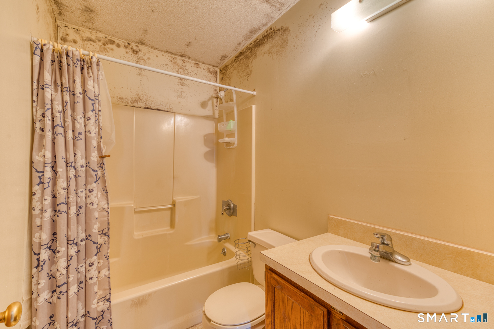 11 Mountain Laurel Lane Chaplin CT 06235