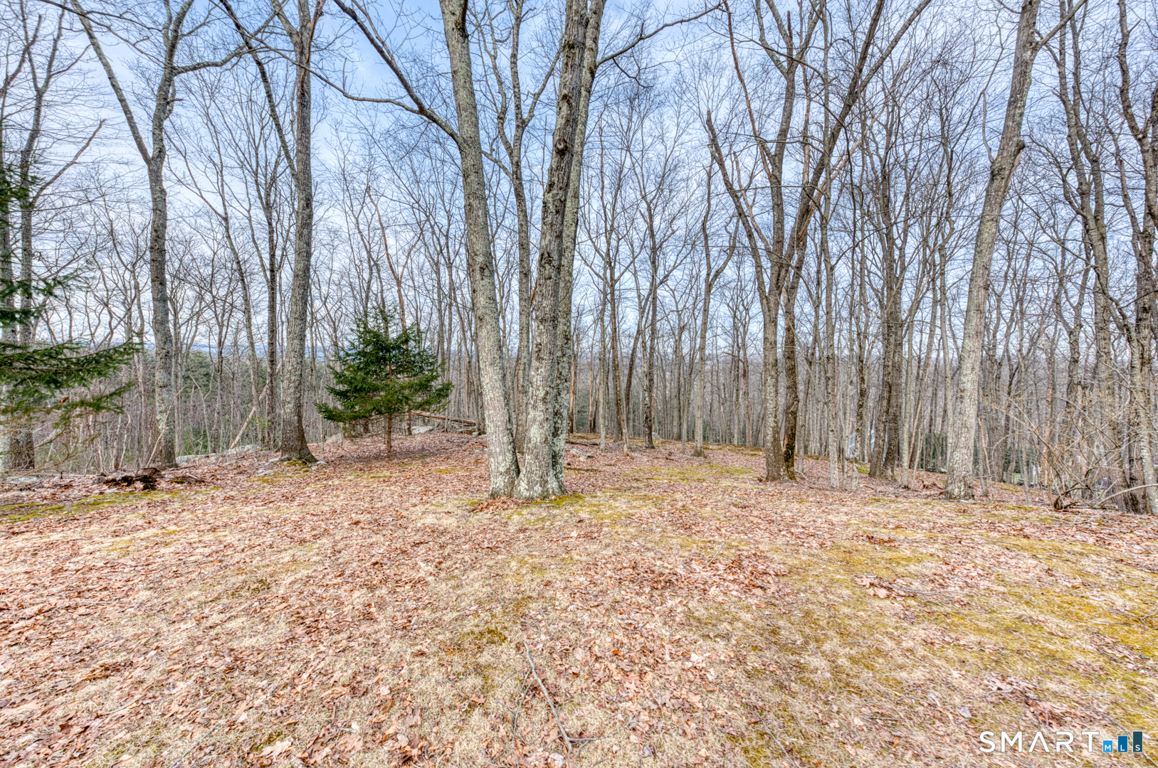 11 Mountain Laurel Lane Chaplin CT 06235