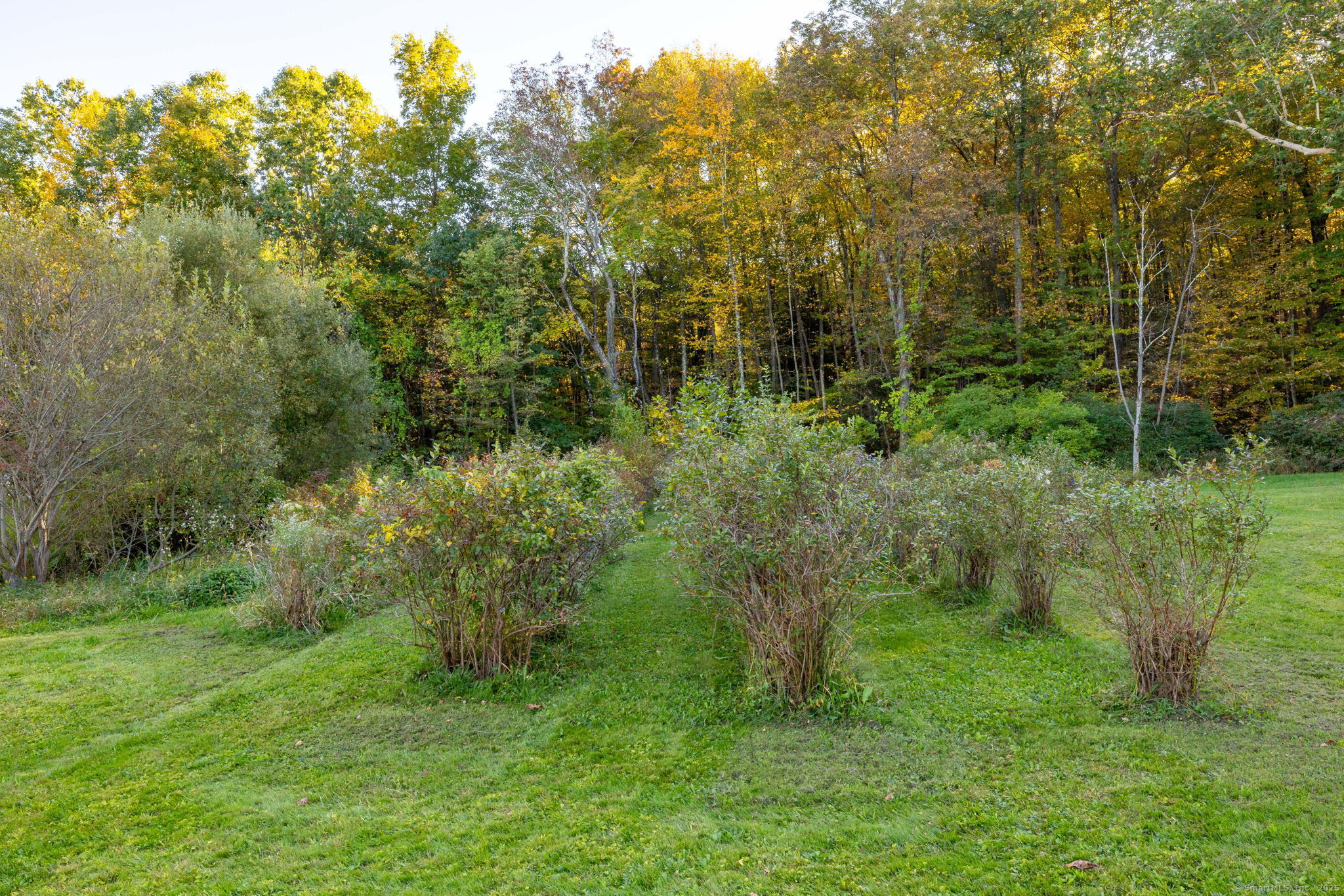 9 Mountain Road Granby CT 06060