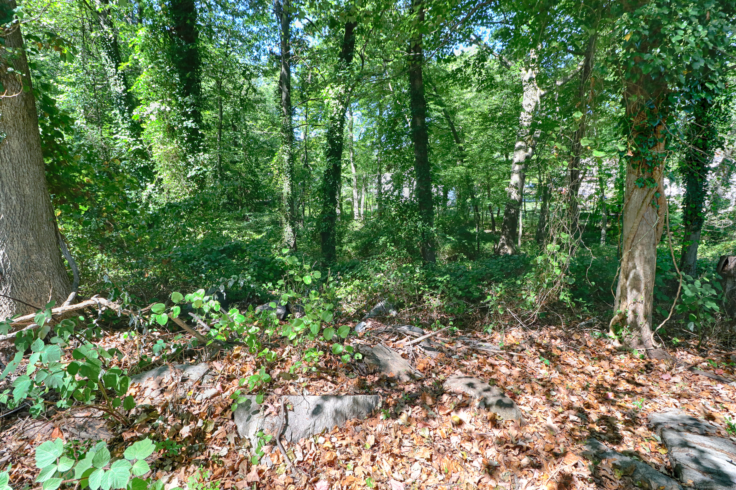 20 Ermine Street Fairfield CT 06824