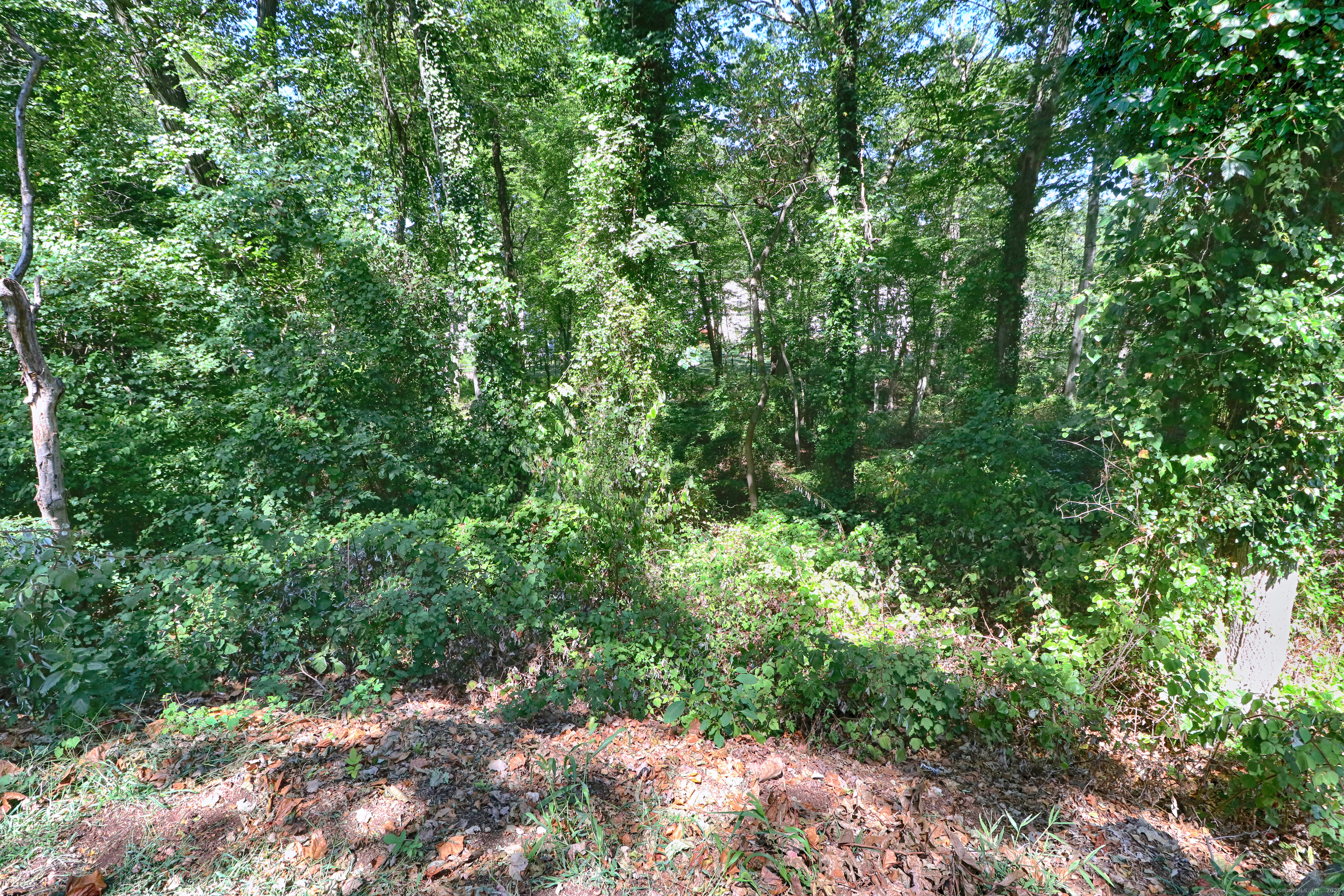 20 Ermine Street Fairfield CT 06824