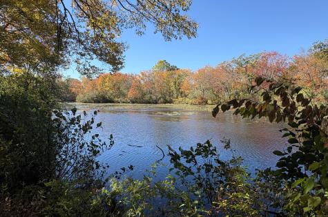 156 Flanders Road East Lyme CT 06357