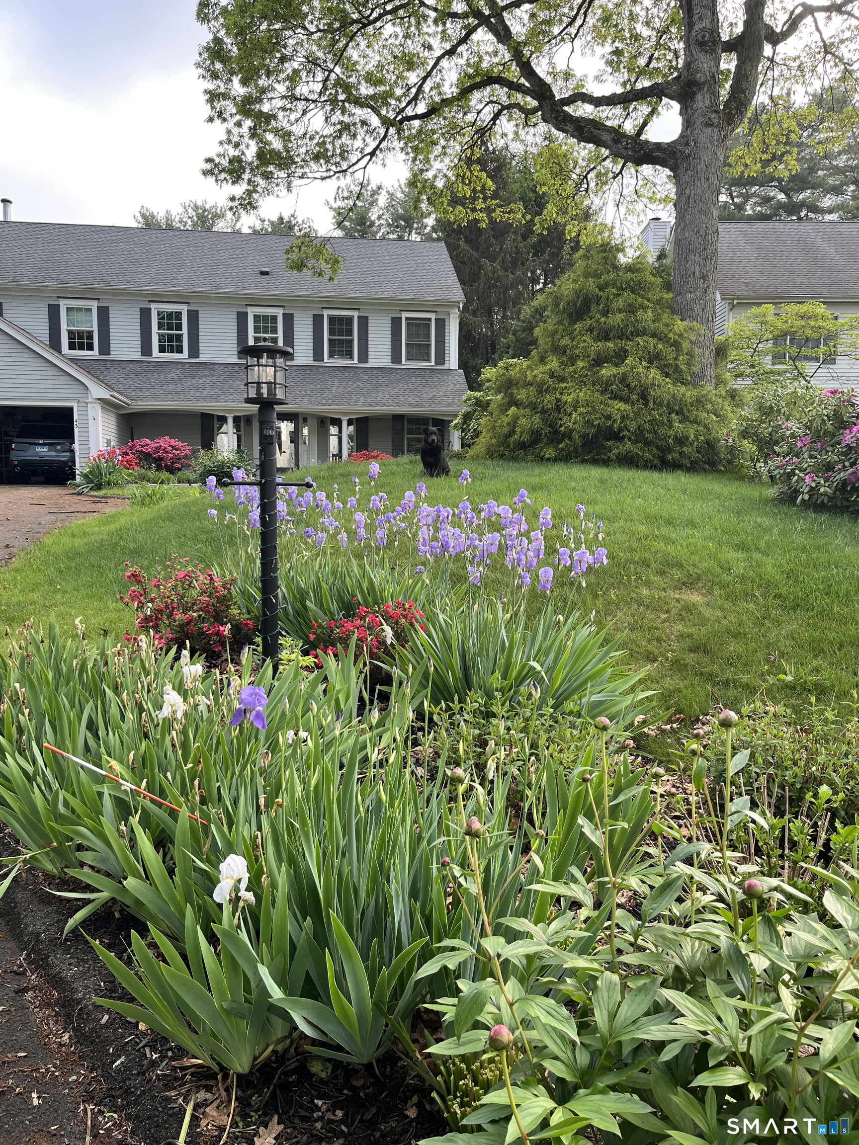 43 Phillips Lane Darien CT 06820