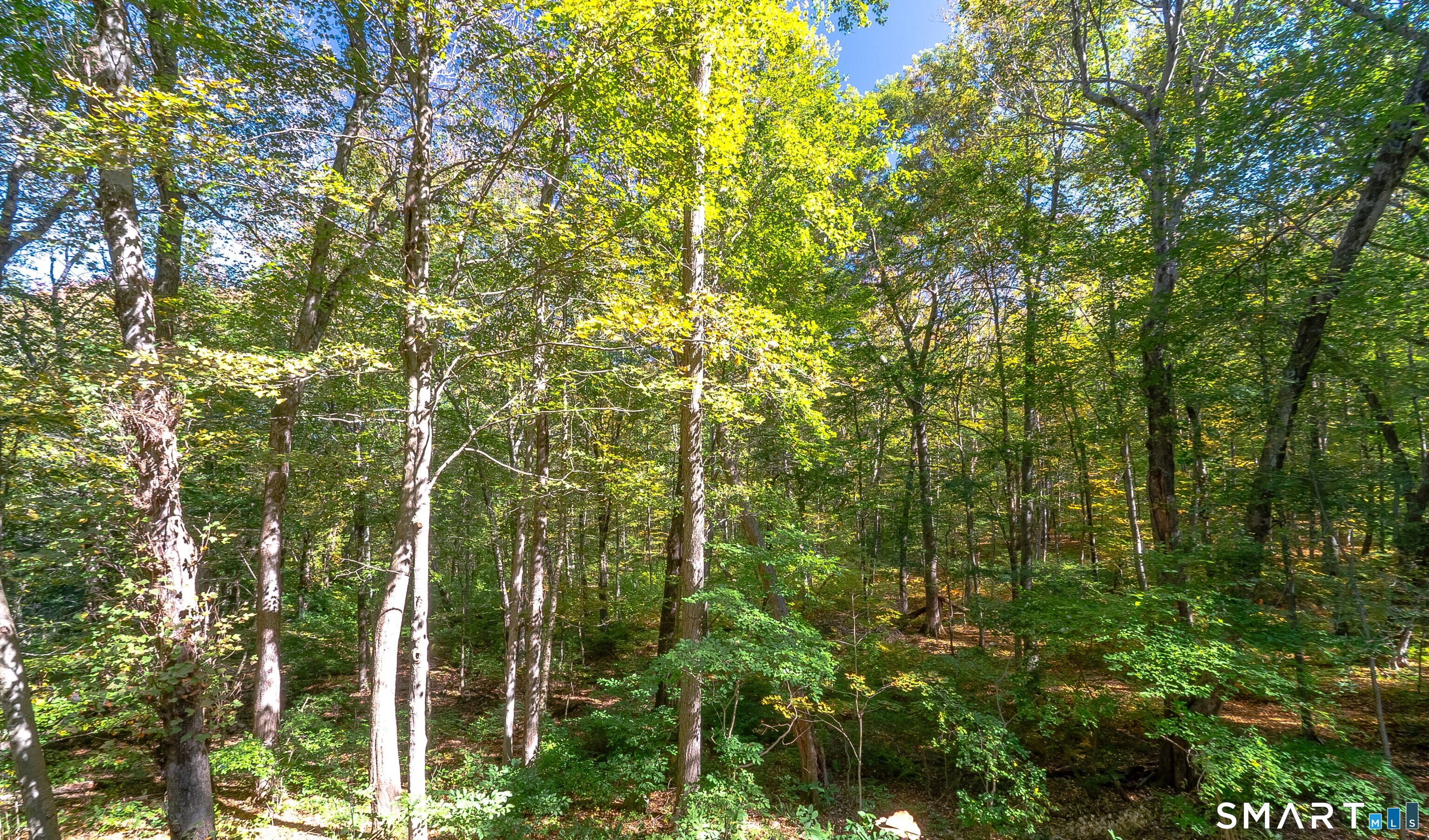 50 A P Gates Road East Haddam CT 06423