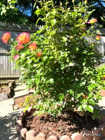 2 Coolidge Street Norwich CT 06360