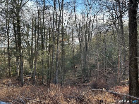 56 Walnut Tree Hill Road Newtown CT 06482