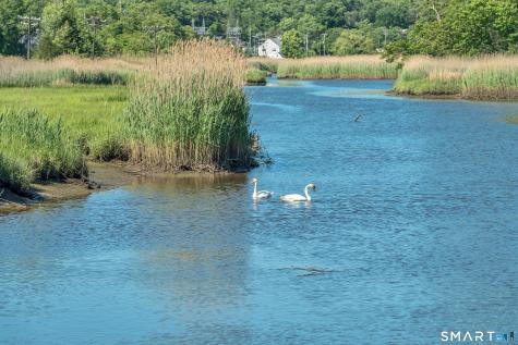 44 Riverside Drive Branford CT 06405