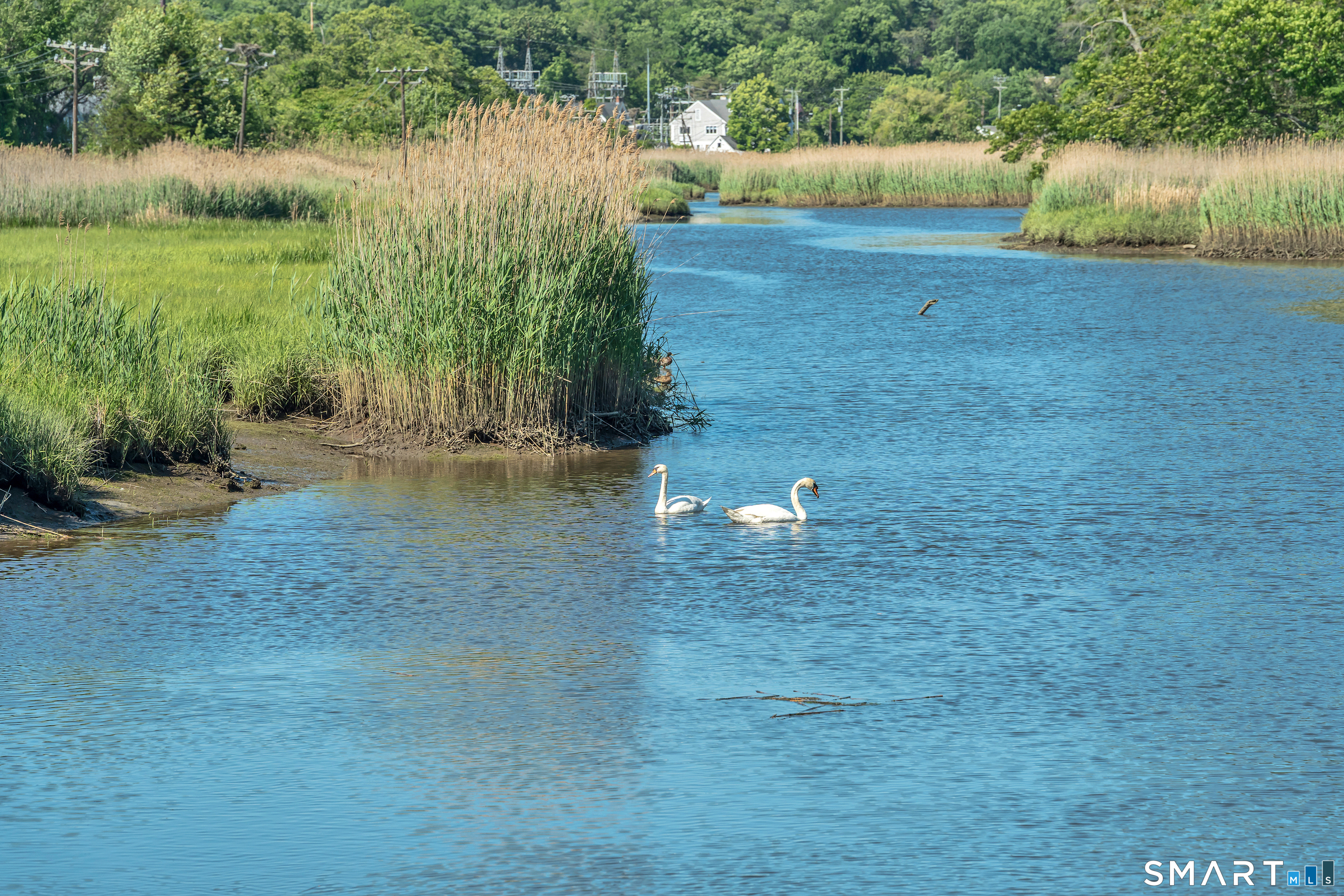 44 Riverside Drive Branford CT 06405