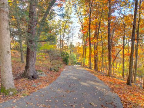 67 Mulberry Road Mansfield CT 06250