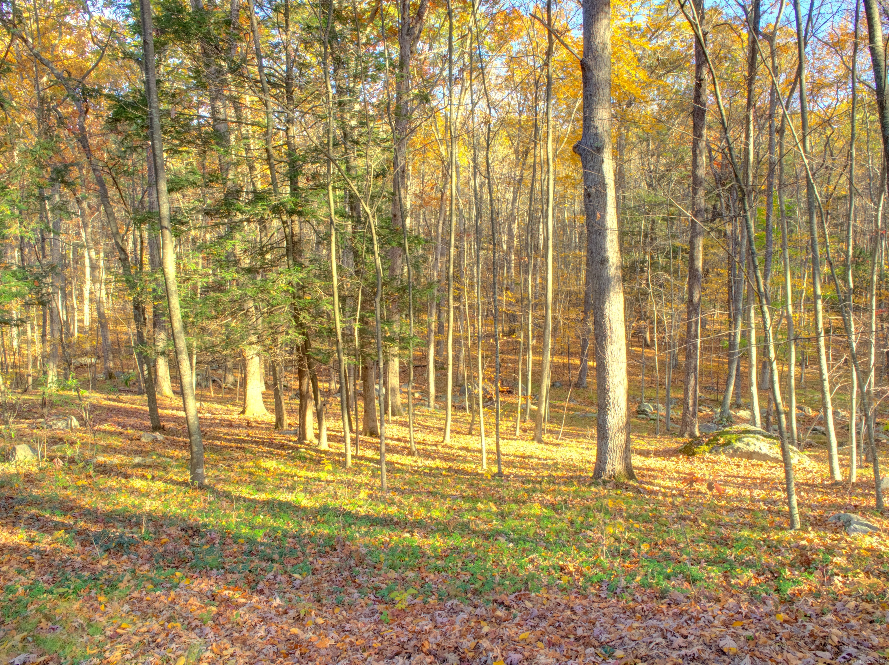 67 Mulberry Road Mansfield CT 06250