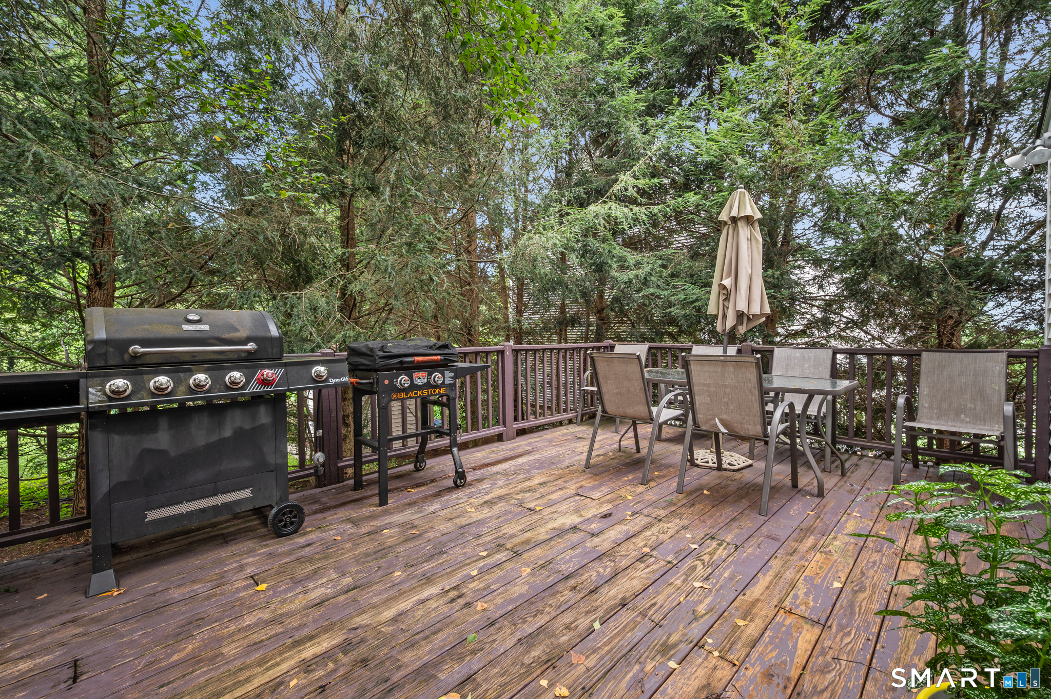 167 Wooster Street Shelton CT 06484