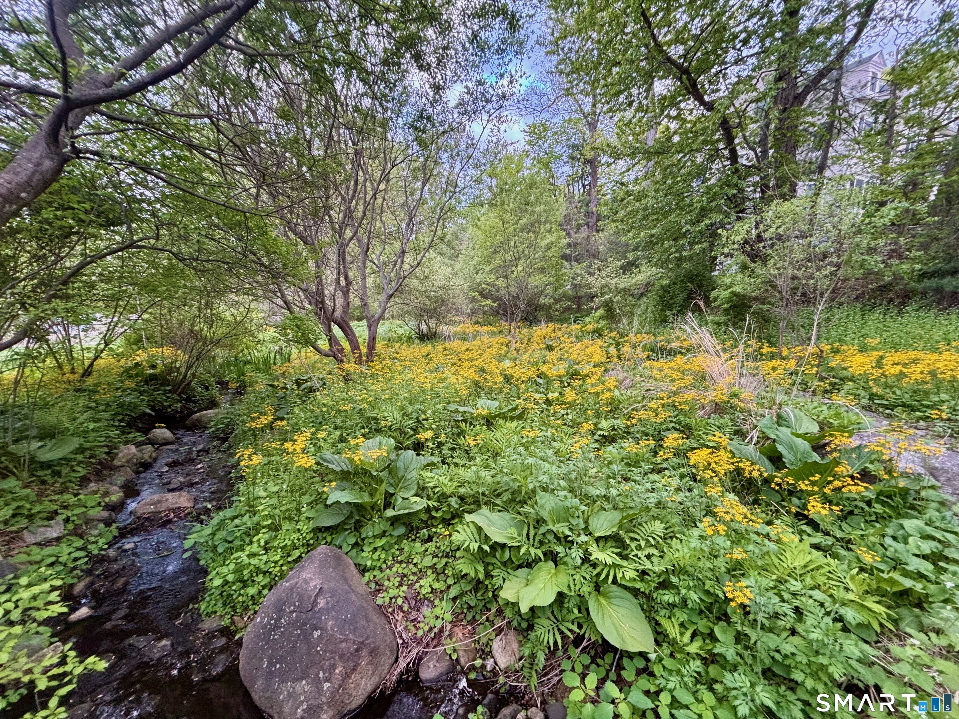 58 Skymeadow Drive Stamford CT 06903