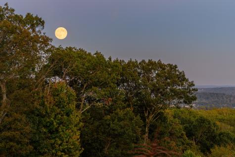 6A Rock Ridge Court New Fairfield CT 06812