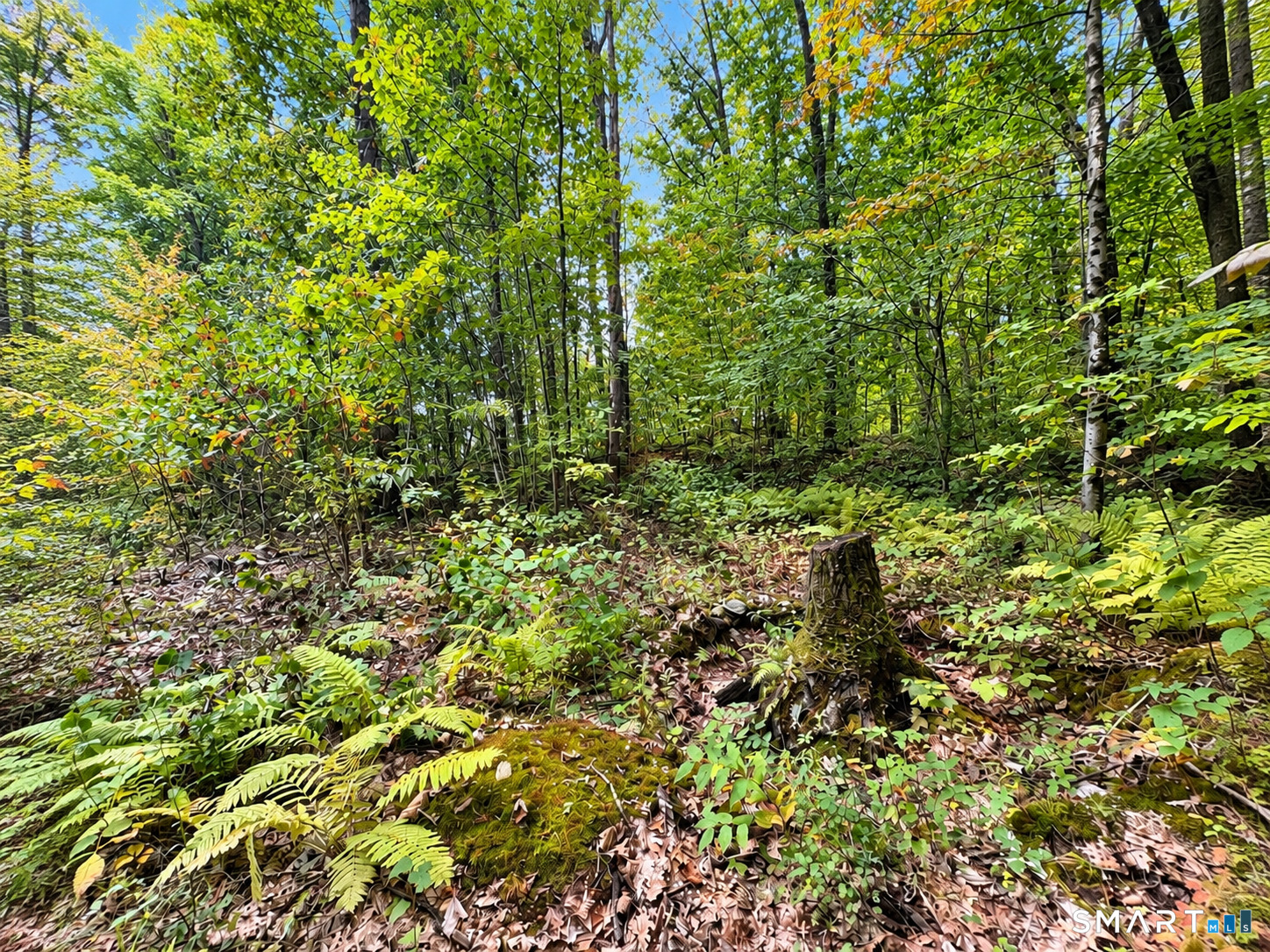 27 Snipsic Lake Road Ellington CT 06029