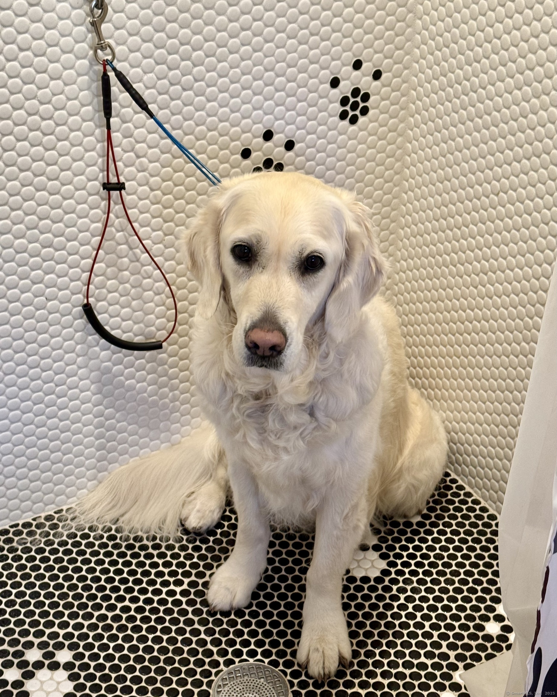 176 Logan Road New Canaan CT 06840