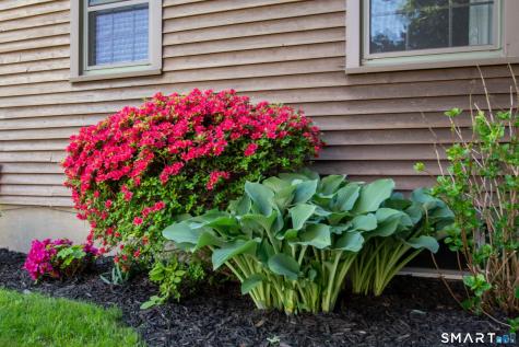 22 Elizabeth Street Trumbull CT 06611