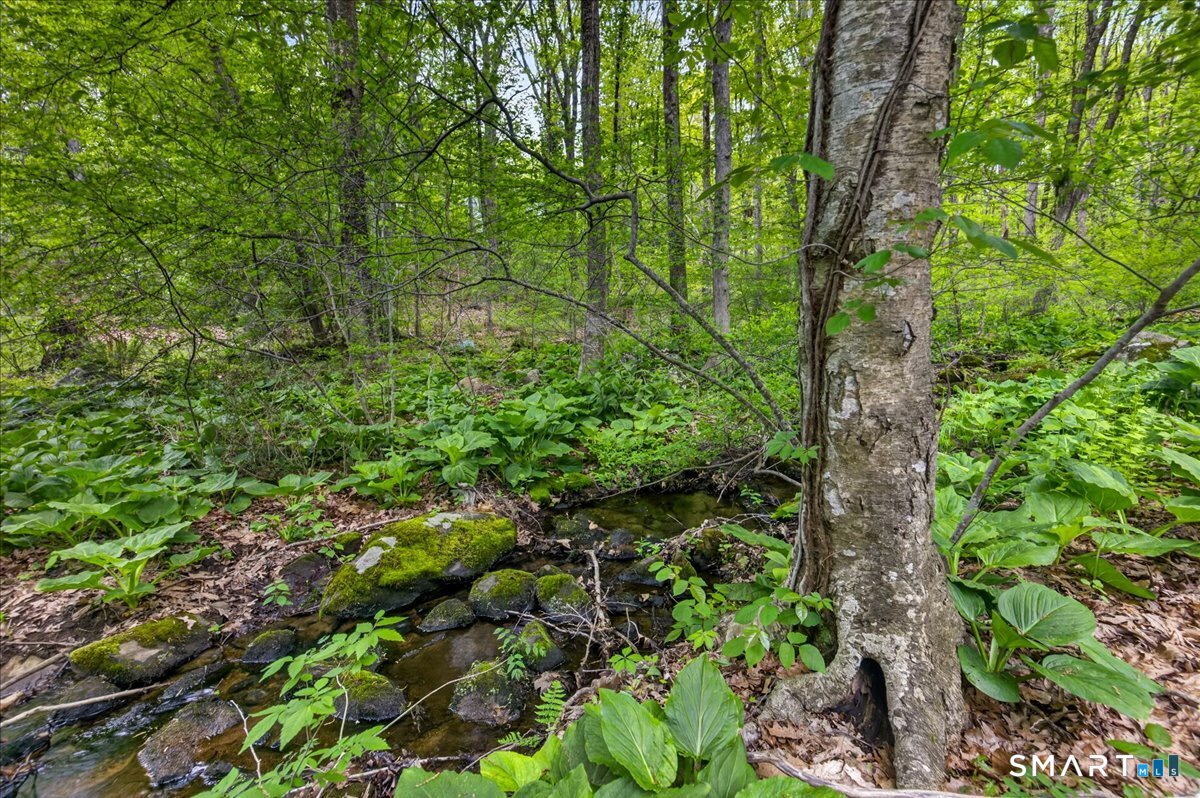 47 Water Lily Lane Guilford CT 06437