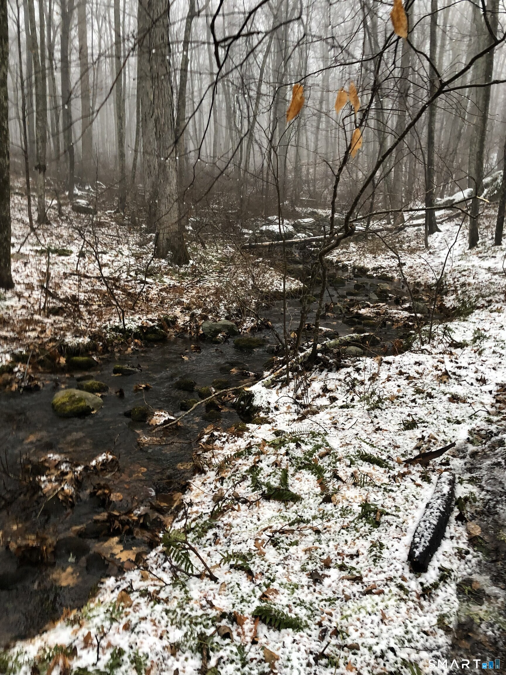 349 South Bigelow Road Hampton CT 06247