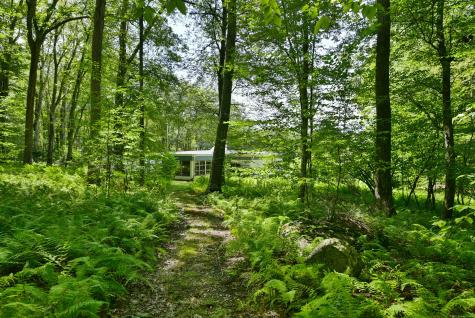 16 Pilfershire Road Eastford CT 06242