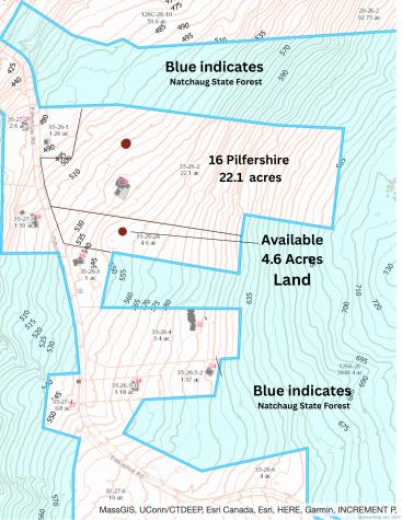 16 Pilfershire Road Eastford CT 06242