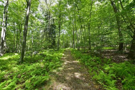 16 Pilfershire Road Eastford CT 06242