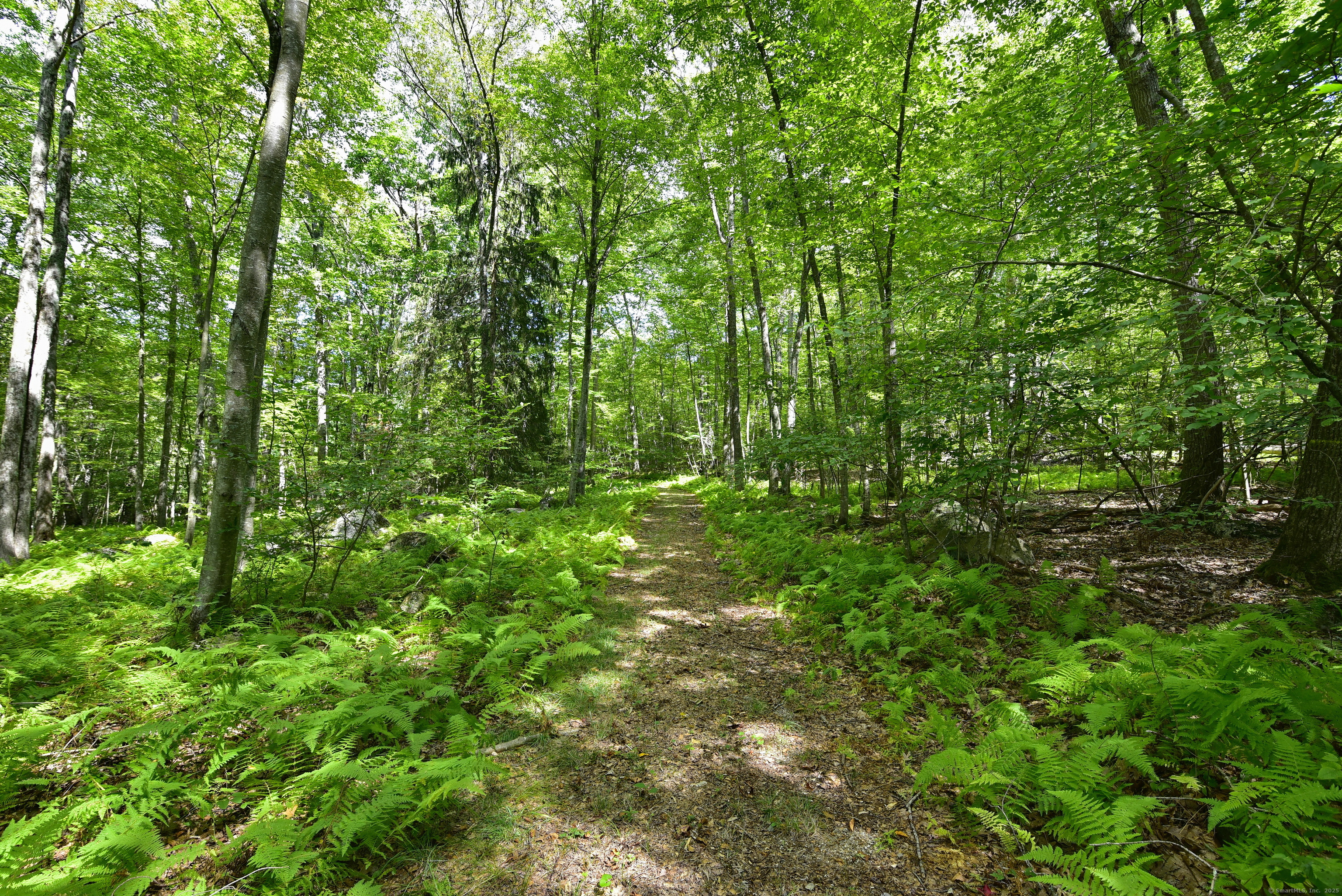 16 Pilfershire Road Eastford CT 06242