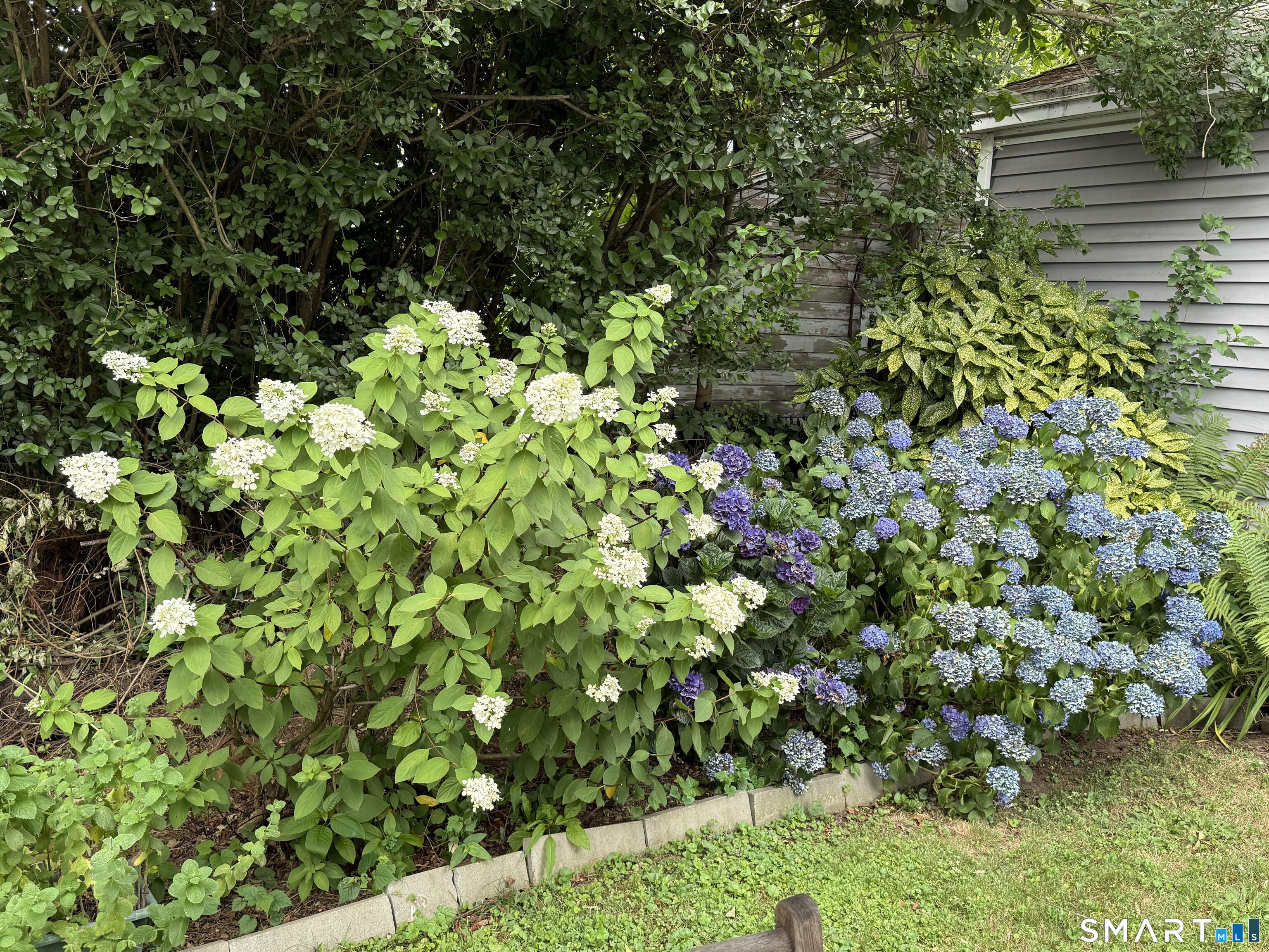 90 Clarkson Street Bridgeport CT 06605