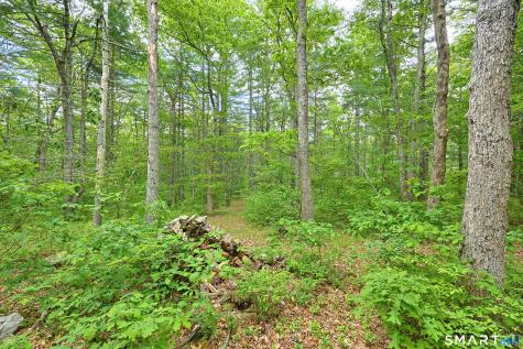 142 Brown Road Voluntown CT 06384