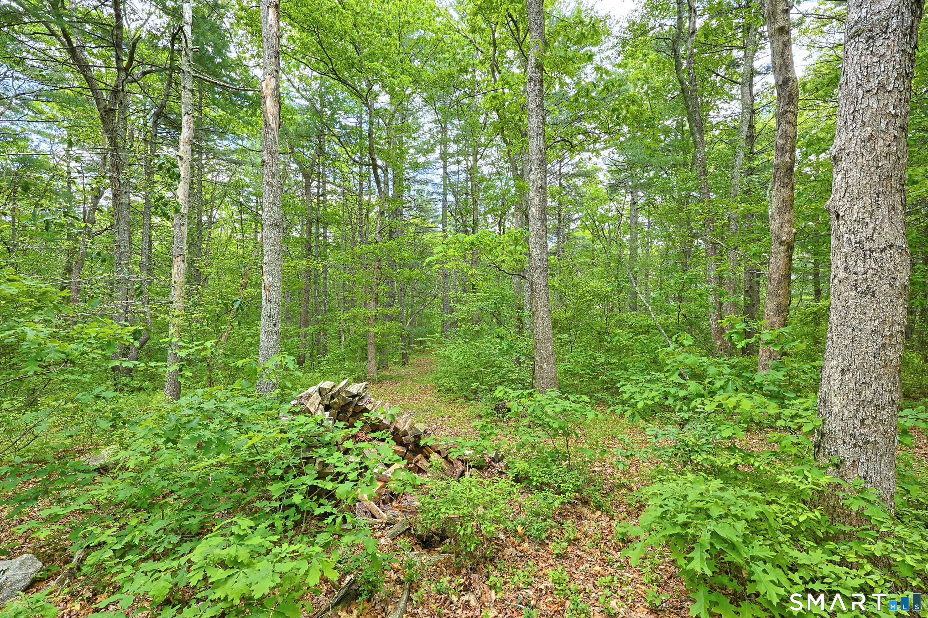 142 Brown Road Voluntown CT 06384