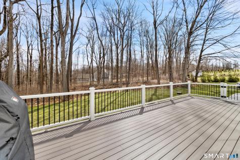 8 Holly Lane Newtown CT 06482