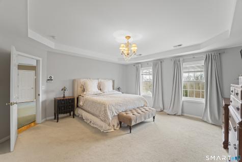 15 Wedgewood Court Newtown CT 06470