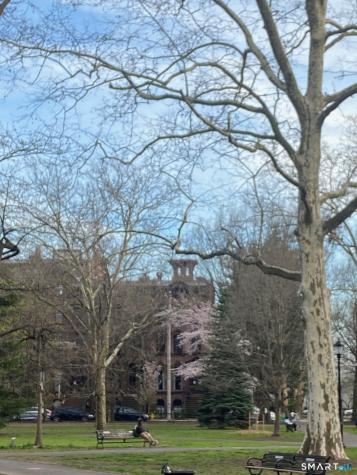 562 Chapel Street New Haven CT 06511
