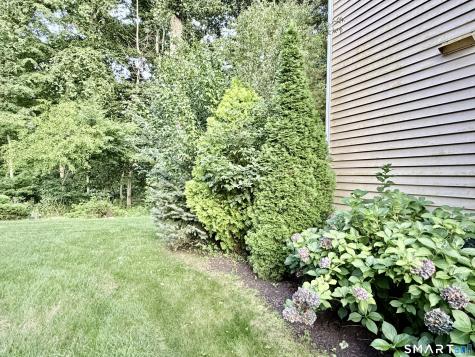 29 Sycamore Way Wallingford CT 06492