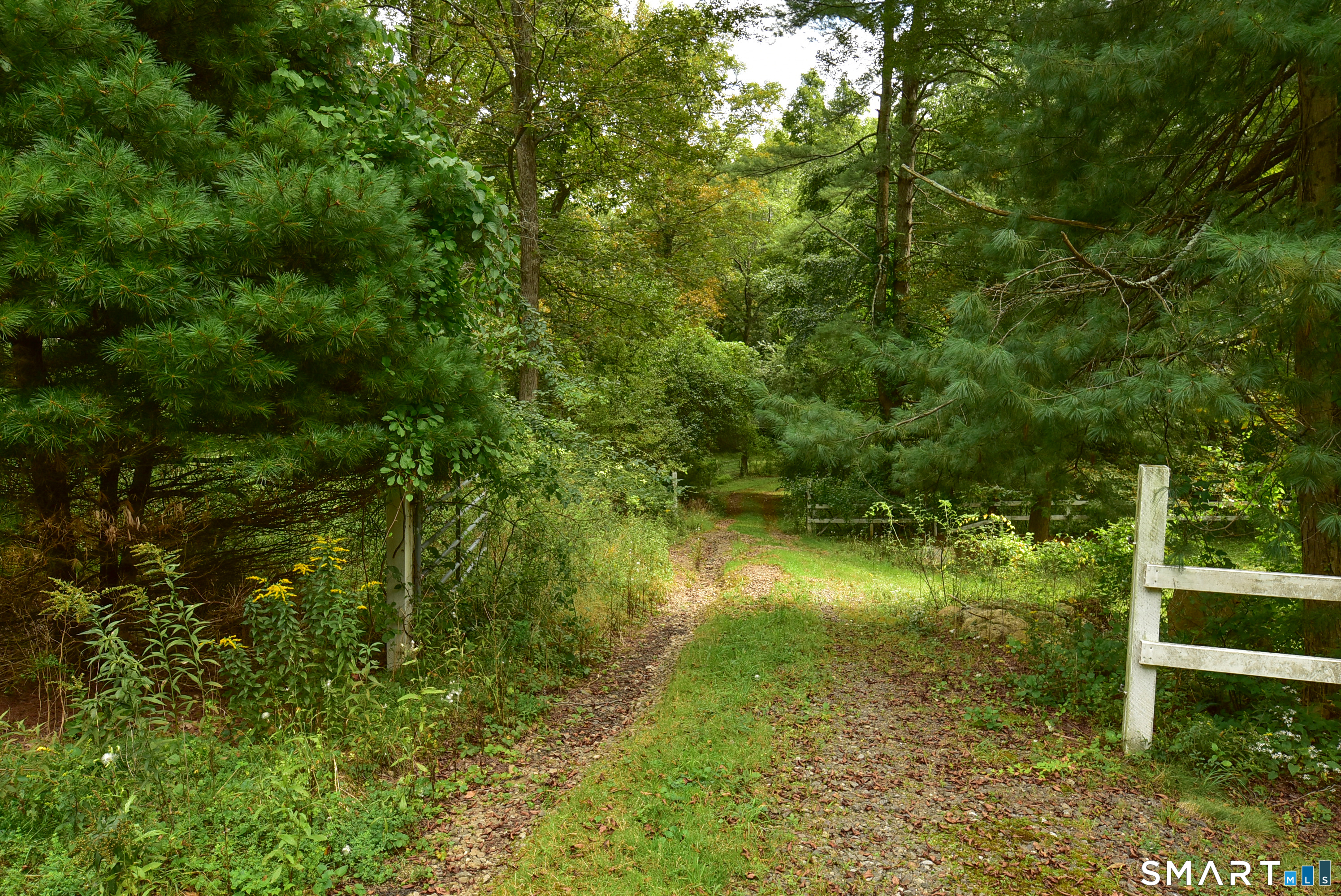 343 Daleville Road Willington CT 06279