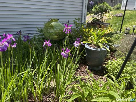 105 Meadow Wood Road Stratford CT 06614