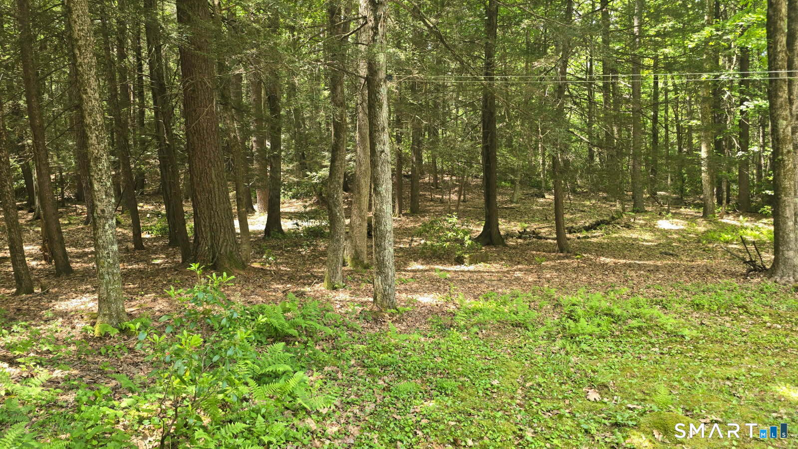 77 Cemetery Road Union CT 06076