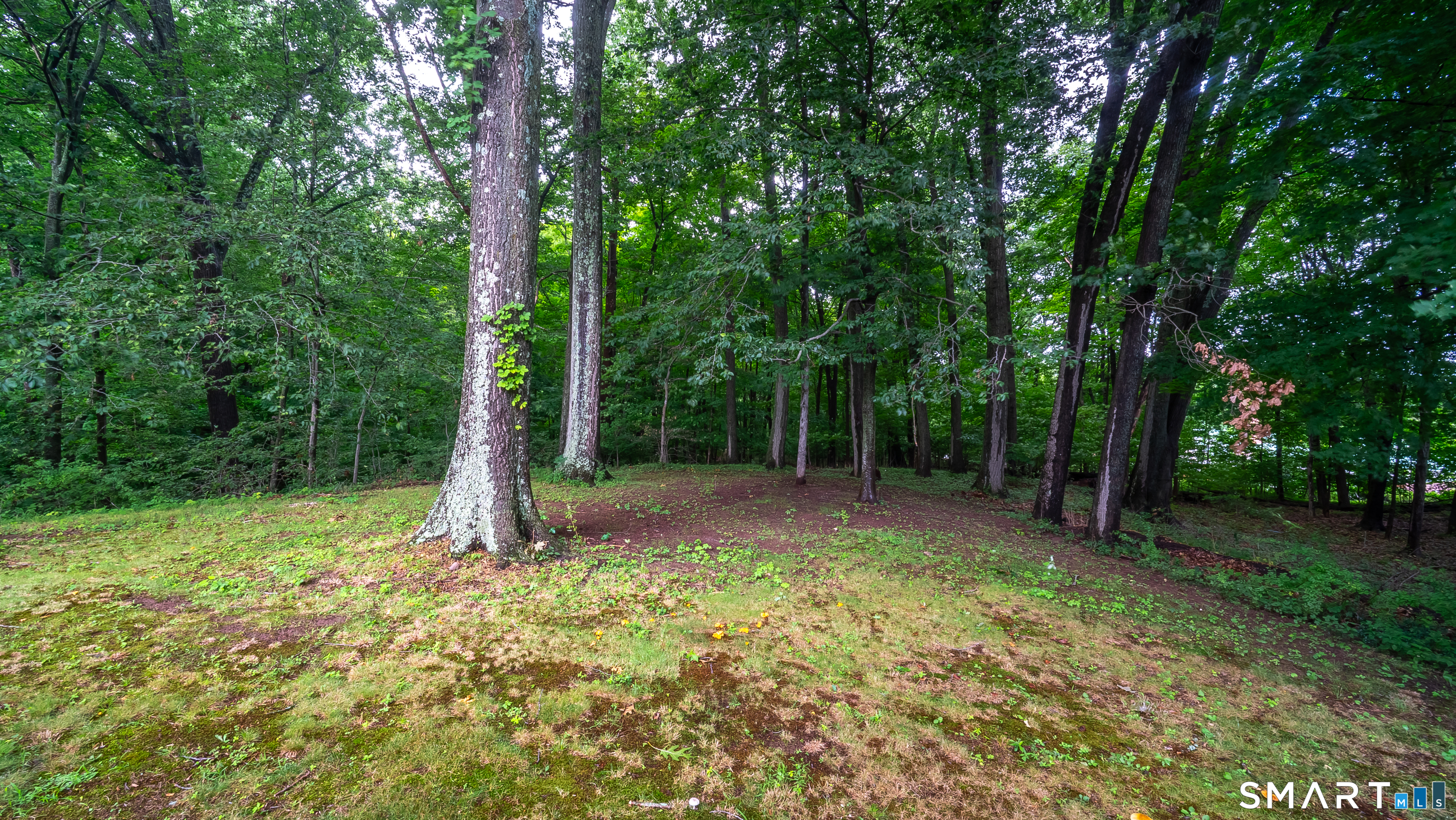 25 Lynn Drive Wallingford CT 06492