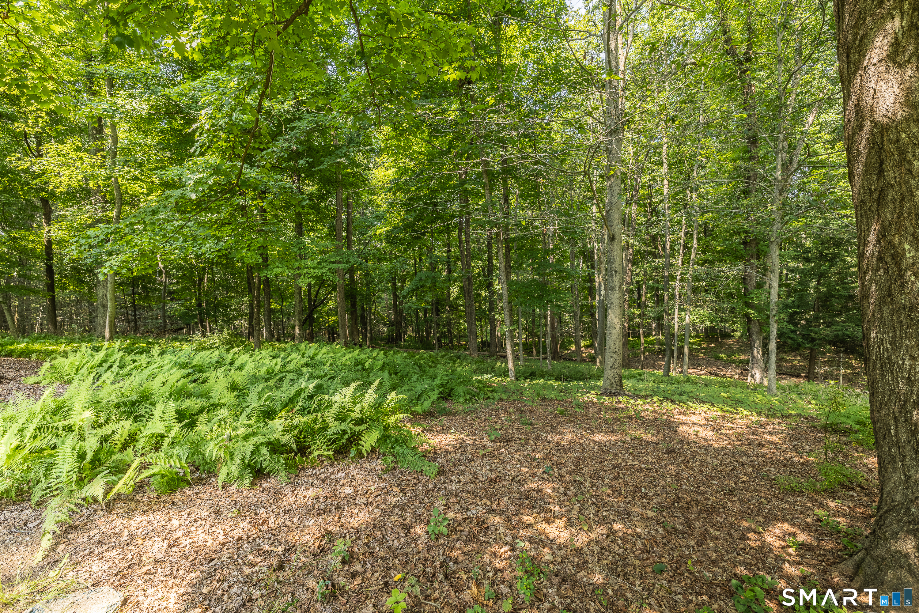 170 Charter Oak Road Southbury CT 06488