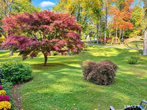 11 Joan Road Stamford CT 06905