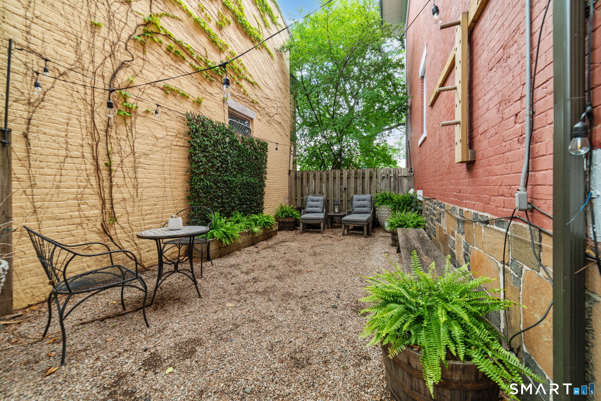 161 Olive Street New Haven CT 06511