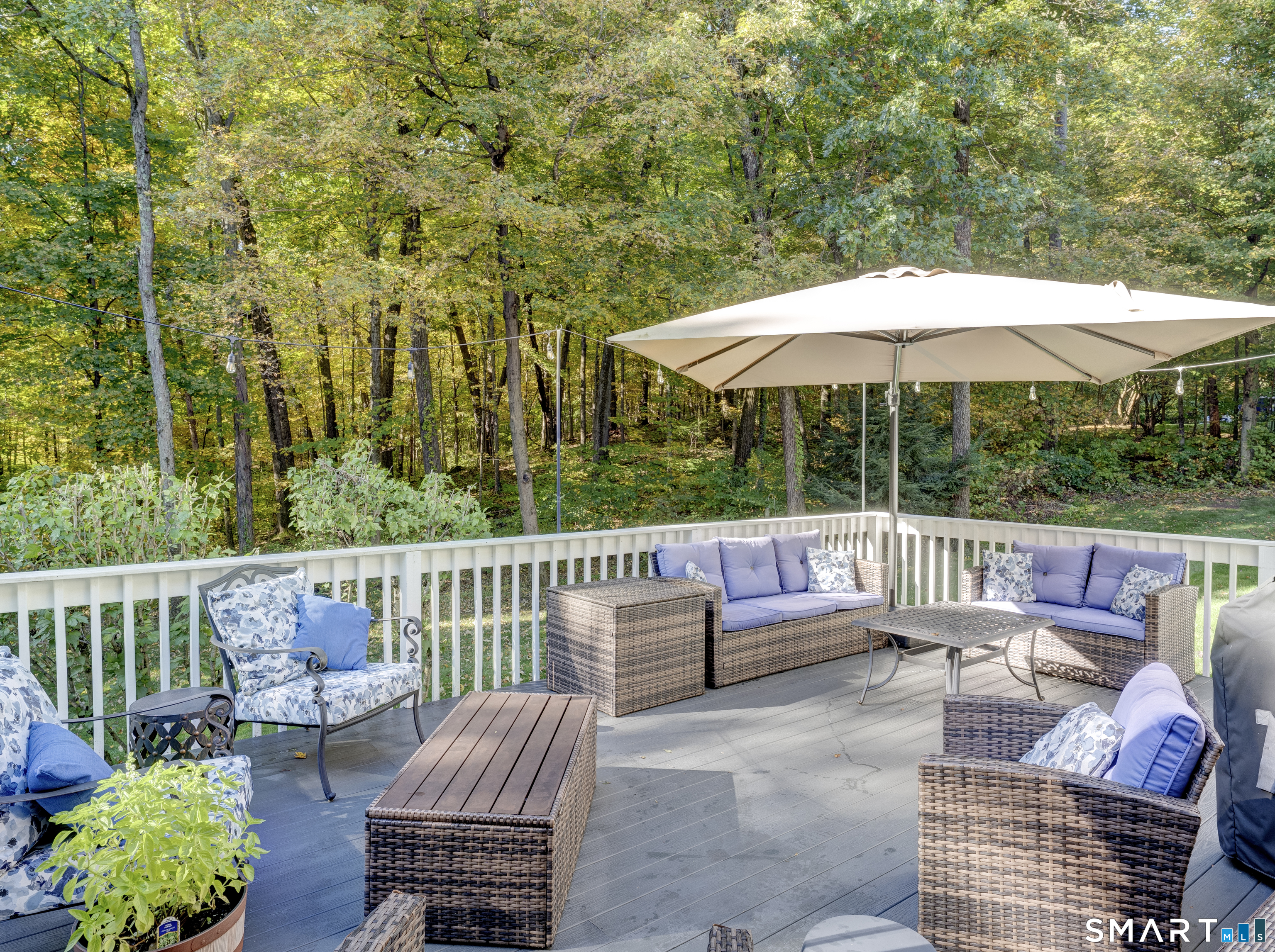 32 White Sail Drive Southington CT 06489